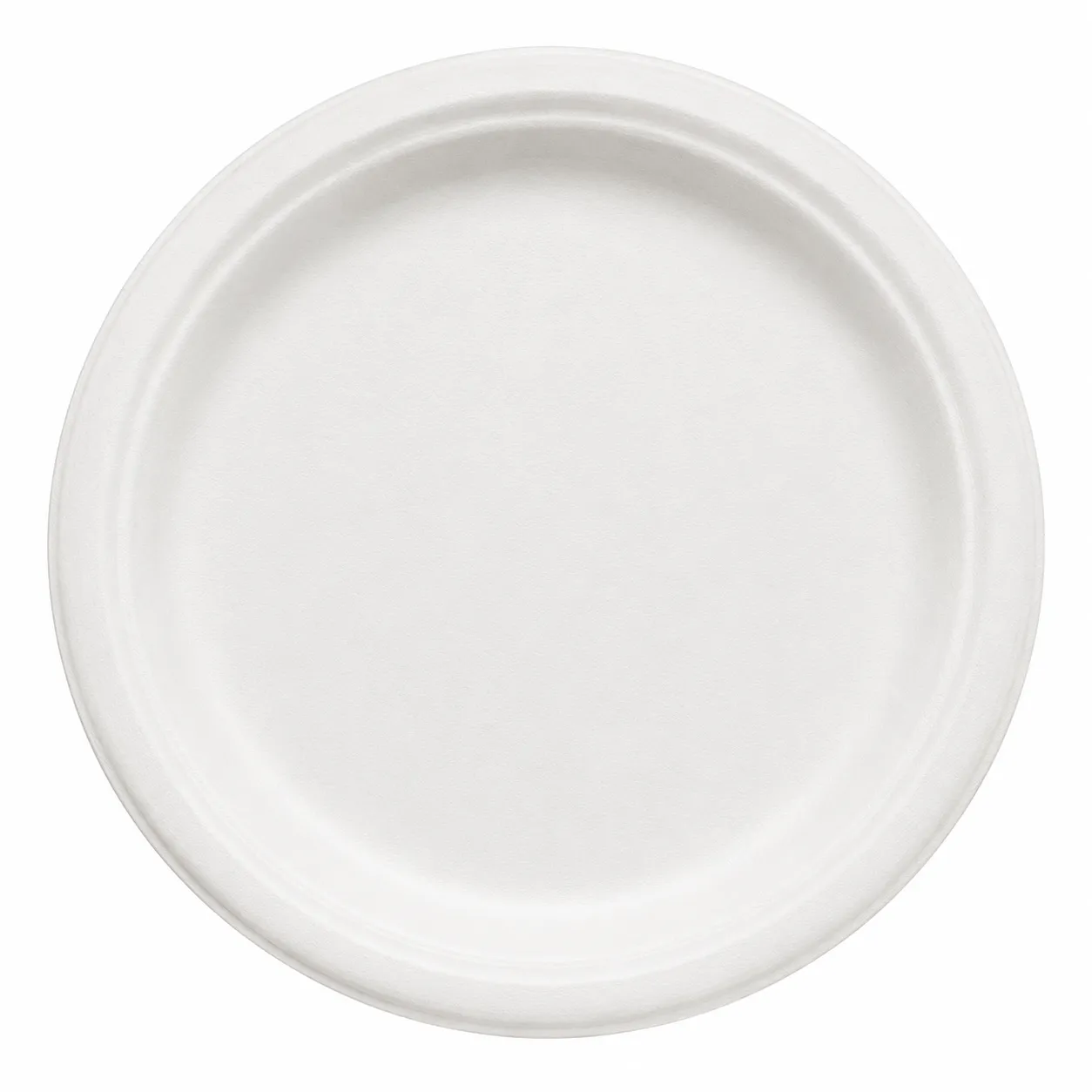 Plain Bagasse Dinner Plates