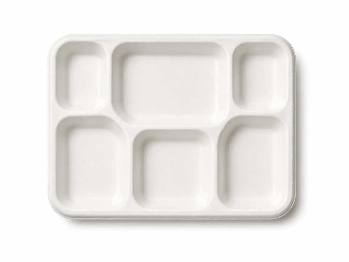 6 Compartment Bagasse Plates