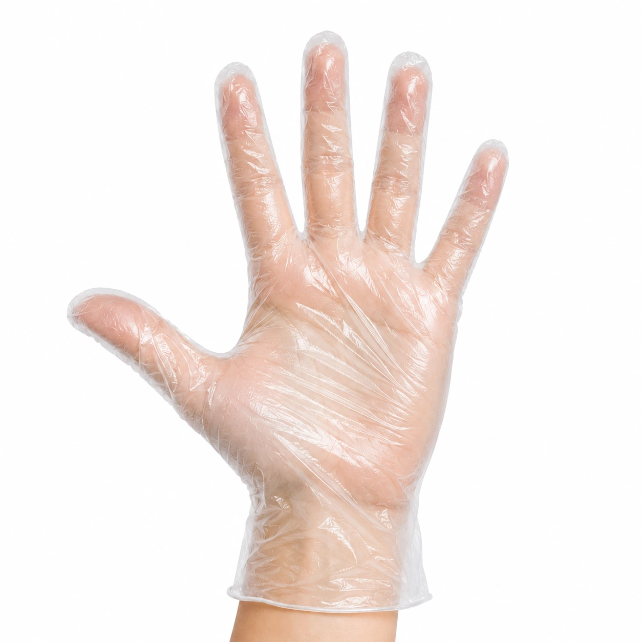 Clear Vinyl Gloves P/F