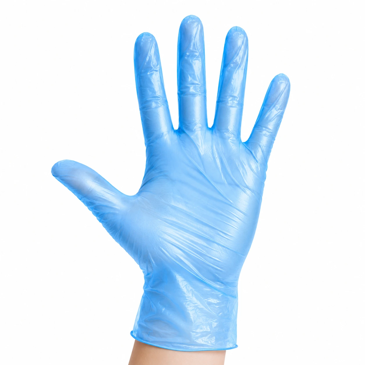 Blue Vinyl Gloves P/F